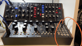 Model D Paul2